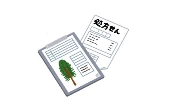 樹木医技術普及講座潜入レポート part３