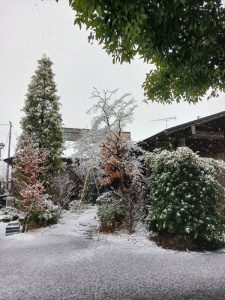 雪女の幻想
