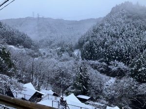 降りましたね、雪⛄