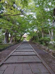「ちょっとそこまで散策」で出会ったものに驚き