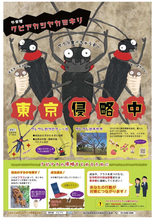 熊も危険だけど虫も危険