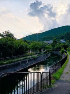 涼を求めて