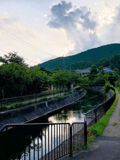涼を求めて
